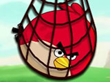 play Acool Surround Angry Bird