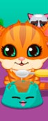 play Kitty Care