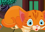 play Tenant House Escape
