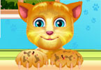 play Talking Ginger Paw Caring