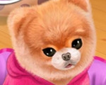 play Baby Doggy Boo