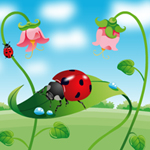 play Flower Bugs