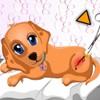 play Dog Health Care