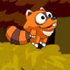 play Racoon Jump