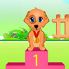 play Dog Health Care