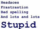 Stupid Test Jr High
