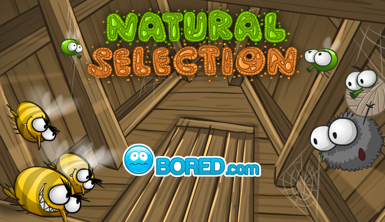 play Natural Selection