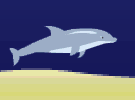 play Dolphin Olympic