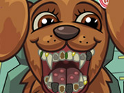 play Pet Crazy Dentist Kissing