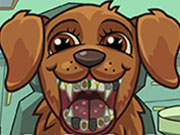 play Pet Crazy Dentist