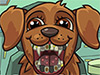 play Pet Crazy Dentist