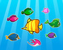 play Colorful Fish Matching