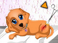 play Dog Health Care