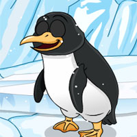 play Crazy Penguin Escape