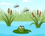 Jump Frog Jump