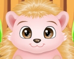 play Baby Hedgehog Caring