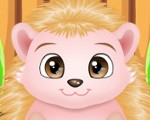 play Baby Hedgehog Caring