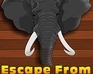 play Escape From Hunter
