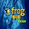 play Xg Frog Forest Escape