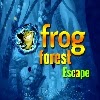 Xg Frog Forest Escape