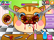 play Doctor Cat Nose