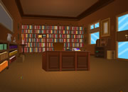 play My Library Escape