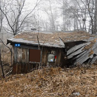 Abandoned Forest Escape