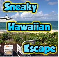 play Sneaky Hawaiian Escape