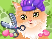 play Kitty Groomer Kissing