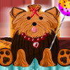 play Yorkie Cake