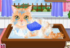 play Kitty Groomer