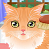 play Kitty Groomer