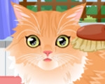 play Kitty Groomer