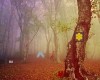 Fog Forest Escape