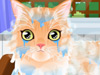 play Kitty Groomer