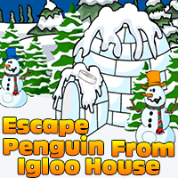 Ena Escape Penguin From Igloo House
