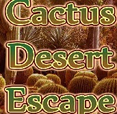 Wow Cactus Desert Escape