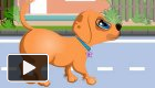 play Puppy At The Vet
