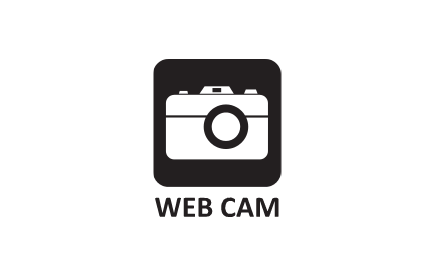 play Web Cam
