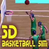 play Basketball Sim 3D