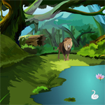 play Lion Forest Escape