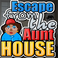 play Escape From The Aunt House