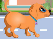 play Dog Health Care