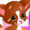 play Barbie'S Injured Pet