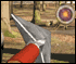 play Arrow Shooting