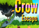 play Xg Crow Escape