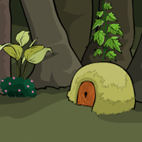 Mushroom Green Forest Escape