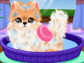 play Groom That Puppy