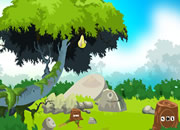 play Xg Crow Escape