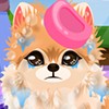 play Play Puppy Groomer